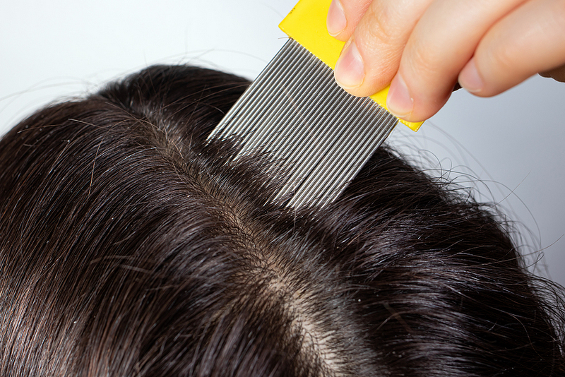 Combing out nits