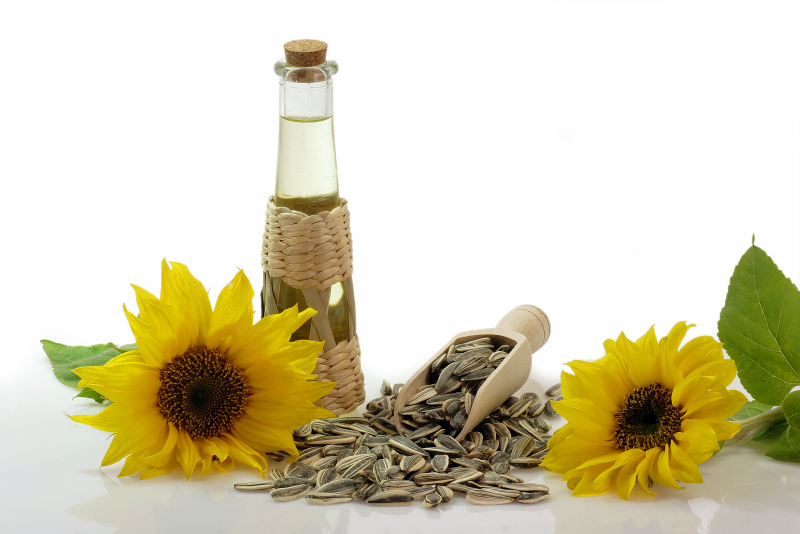 Sunflower Oil